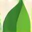 Organic leaf icon